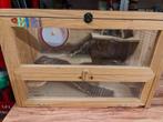 Hamster kooi met toebehoren, Kooi, Gebruikt, Minder dan 75 cm, Hamster