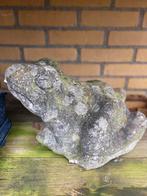 Waterspuwer grote kikker, beton, vijverbeeld, tuinbeeld, Tuin en Terras, Tuinbeelden, Ophalen of Verzenden, Gebruikt, Beton, Dierenbeeld