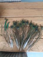 Pauwenveren, Huis en Inrichting, Woonaccessoires | Droogbloemen, Ophalen of Verzenden, Zo goed als nieuw