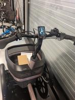 VanRaam Thuja Driewielfiets Comfortabel en veilig!, Ophalen of Verzenden, Nieuw, Thuja