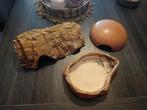 Terrarium  toebehoren, Dieren en Toebehoren, Ophalen of Verzenden, Zo goed als nieuw