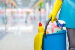 Schoonmaakster Amsterdam, Overige vormen
