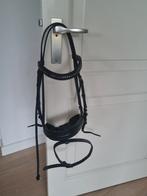 Zwart hoofdstel met dubbele neusriem maat cob, Dieren en Toebehoren, Ophalen, Nieuw, Dressuur
