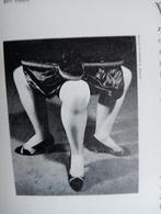 Marcel Duchamp Jean Tinguely Miro Claes Oldenburg DADA, Ophalen of Verzenden, Gelezen, Diverse Auteurs