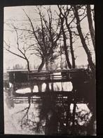 Zweeloo  vijf kaarten op de 6e foto namen waar in Zweeloo, Verzamelen, Ansichtkaarten | Nederland, Verzenden, 1980 tot heden, Ongelopen