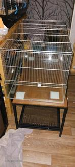 Tekoop knaagdieren kooi, Dieren en Toebehoren, Kooi, Gebruikt, Hamster, 75 tot 110 cm