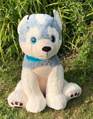 Grote Husky Knuffel Hond - Husko 80cm beschikbaar voor biedingen