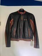 Harley Davidson dames jas maat M, Maat 38/40 (M), Harley Davidson, Overige kleuren, Nieuw
