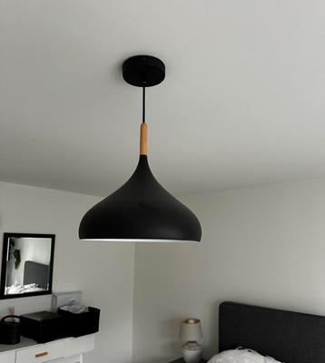 2 zwarte plafondlampen beschikbaar voor biedingen