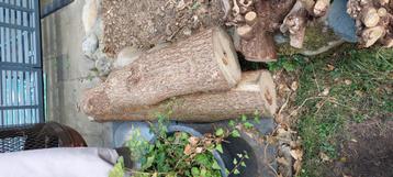 Openhaard hout. Gratis. Zelf klein maken.  beschikbaar voor biedingen