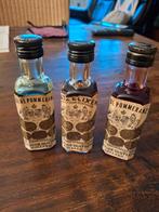 Catz & Zoon van Pekela-Holland, likeurflesjes zie fot/omsch, Ophalen of Verzenden, Nieuw