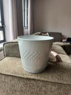 Bloempot Sissy-Boy, Tuin en Terras, Bloempotten, Ophalen, Rond, Binnen, Minder dan 25 cm