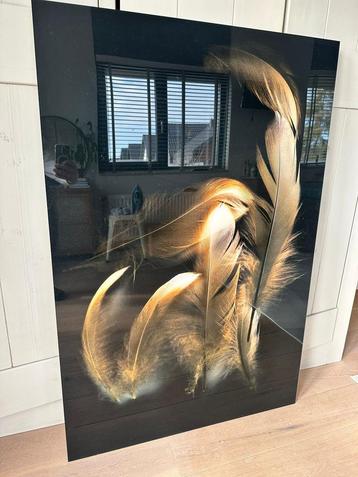 Plexiglas schilderij veren beschikbaar voor biedingen