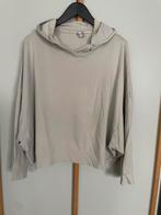 ISCHIKO sweatshirt, Kleding | Dames, Verzenden, Zo goed als nieuw, Maat 38/40 (M), Beige