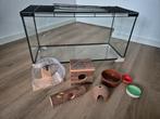 Terrarium incl. benodigdheden voor hamster, hamsterscaping, Overige typen, Zo goed als nieuw, Hamster, 75 tot 110 cm