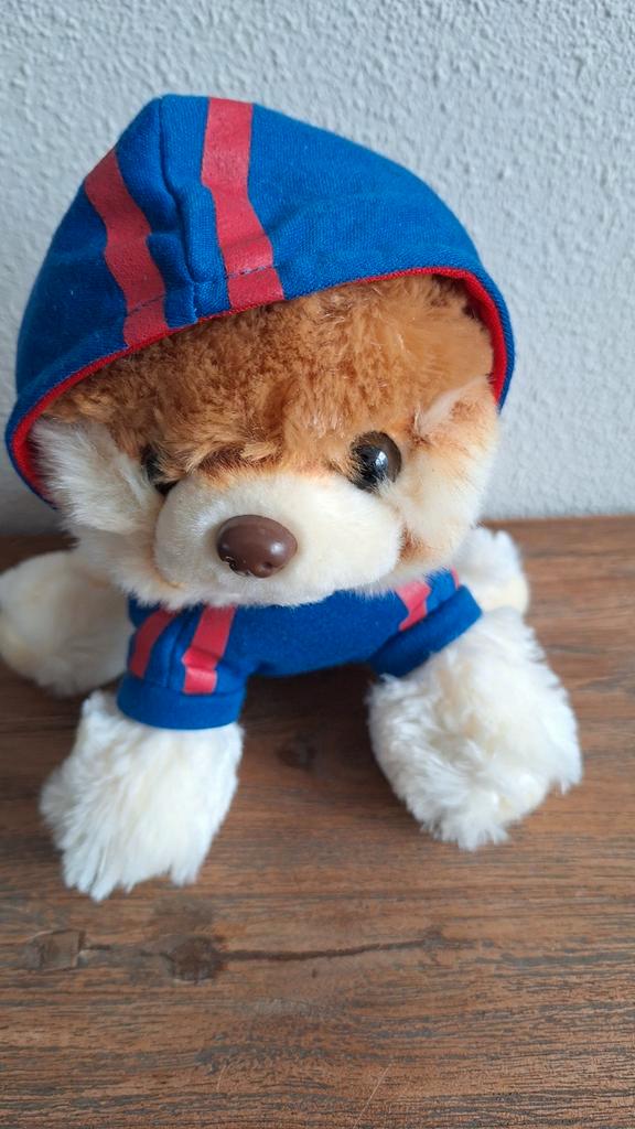 Schattige Hond Knuffel met Hoodie - Born Fabulous, Kinderen en Baby's, Speelgoed | Knuffels en Pluche, Zo goed als nieuw, Hond