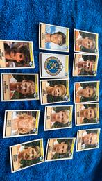 Panini voetbal 91 intro en Nederlands elftal, Ophalen of Verzenden, Zo goed als nieuw, Overige binnenlandse clubs, Poster, Plaatje of Sticker