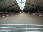 verzorgster/ stageplek / friese paarden, Dieren en Toebehoren, Stalling en Weidegang