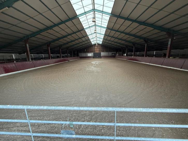 Vrijwilligerswerk/ stageplek (Erkend Leerbedrijf), Dieren en Toebehoren, Stalling en Weidegang