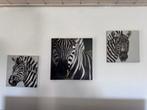 Set van 3 schilderijen met zebraprint te koop, Ophalen
