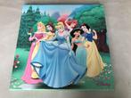Canvas Disneyprinsessen prinsessen disney schilderij wand, Ophalen of Verzenden, Wanddecoratie, Zo goed als nieuw