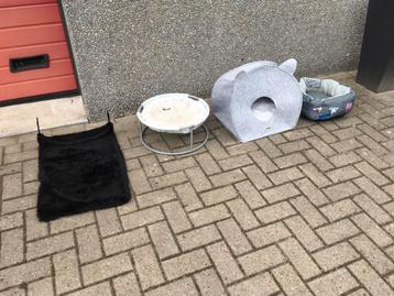 Kat, poes, hok, mand, verwarming beschikbaar voor biedingen