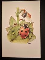 Lieveheersbeestje, Verzenden, 1980 tot heden, Zo goed als nieuw, Dier