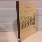 Nr. 38 Dorpsleven vroeger en nu (over Bruinisse)., Boeken, Geschiedenis | Stad en Regio, Ophalen of Verzenden, 20e eeuw of later