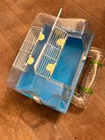 Ferplast hamsterkooi, Dieren en Toebehoren, Minder dan 60 cm, Kooi, Minder dan 75 cm, Ophalen of Verzenden