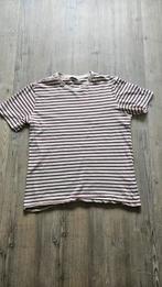 Zara t-shirt, maat M., Zara, Maat 48/50 (M), Ophalen of Verzenden, Zo goed als nieuw