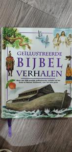 Geïllustreerde Bijbel Verhalen - Familie Editie, Ophalen of Verzenden, Gelezen, Christendom | Protestants