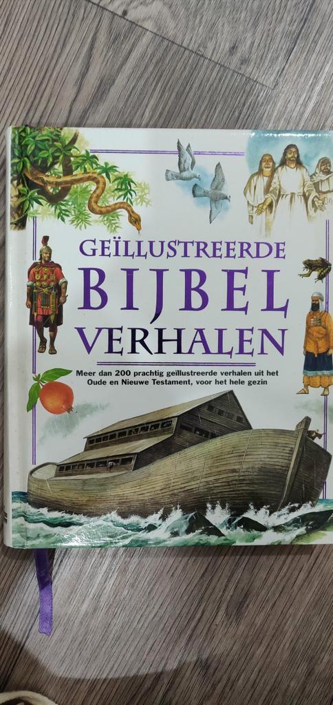 Geïllustreerde Bijbel Verhalen - Familie Editie, Boeken, Godsdienst en Theologie, Gelezen, Christendom | Katholiek, Christendom | Protestants
