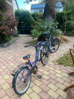 Aanhang fiets kind, Fietsen en Brommers, Fietsaccessoires | Aanhangers en Karren, Ophalen of Verzenden, Zo goed als nieuw, Aanhangfiets