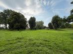 Prachtig natuurlijk weiland ca. 1ha voor dieren, Dieren en Toebehoren, Stalling en Weidegang, Weidegang, 4 paarden of pony's of meer