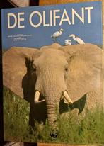 Boek: 'De Olifant', Ophalen of Verzenden, Gelezen, Lucienne van Ek