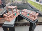 Vangkooien klepkooien voorfrontjes, Ophalen of Verzenden, Nieuw, Hout, Vogelkooi