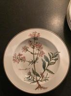 Villeroy & Boch Botanica borden diep soep, Huis en Inrichting, Keuken | Servies, Ophalen of Verzenden, Zo goed als nieuw, Bord(en)