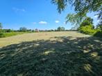 Te Koop Weiland bij Varsseveld +/-8.000m², Dieren en Toebehoren, Stalling en Weidegang, Weidegang, 4 paarden of pony's of meer