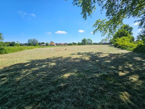 Te Koop Weiland bij Varsseveld +/-8.000m², Dieren en Toebehoren, Stalling en Weidegang, Stalling, Weidegang, 4 paarden of pony's of meer