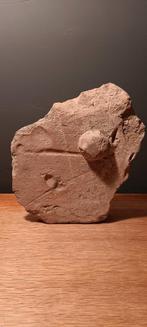 Romeinse tegel, voet, pootafdrukken, ronde "prop"klei, Ophalen of Verzenden