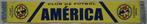 sjaal Club America (Mexico), Verzamelen, Sportartikelen en Voetbal, Ophalen of Verzenden, Nieuw, Buitenlandse clubs, Vaantje of Sjaal