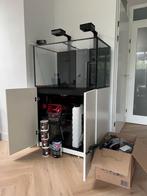 Red Sea Reefer MAX 300 G2+ White compleet, 1 jaar oud, Dieren en Toebehoren, Vissen | Aquaria en Toebehoren, Ophalen, Zo goed als nieuw