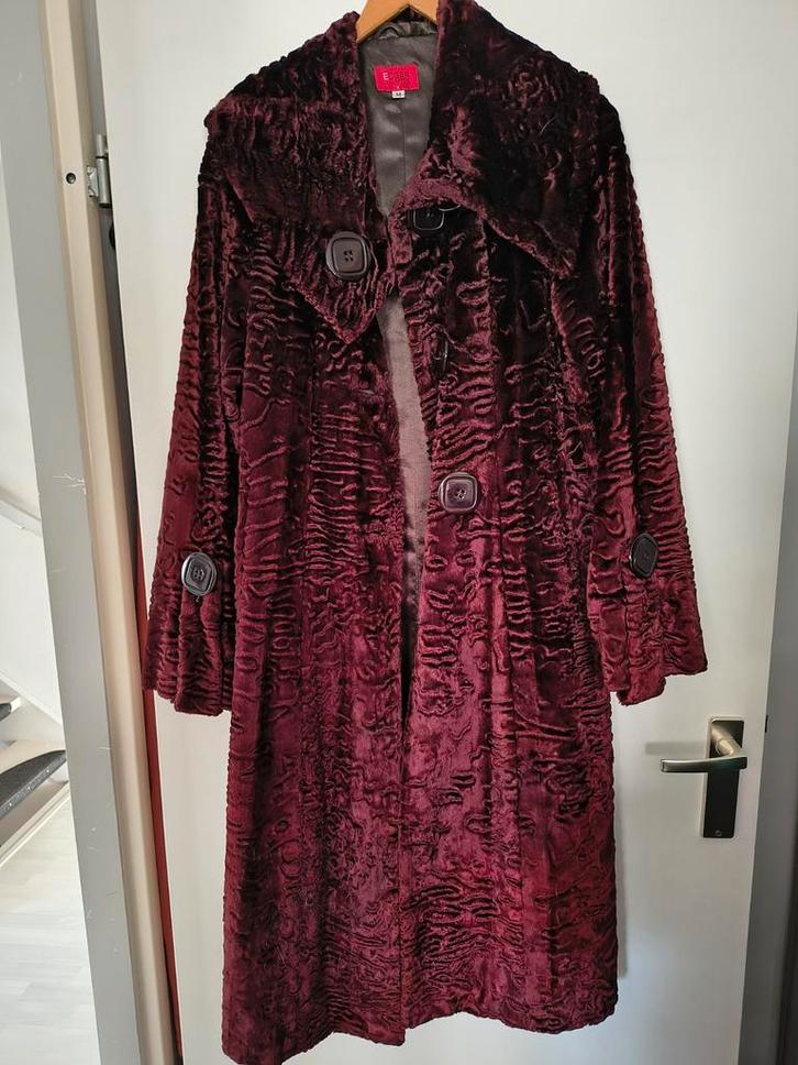 Prachtige winterjas van Edgar Vos, Kleding | Dames, Jassen | Winter, Zo goed als nieuw, Blauw, Ophalen