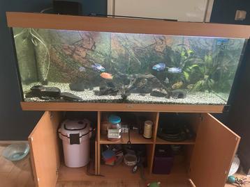 Compleet aquarium beschikbaar voor biedingen