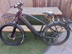 E.Bike Dutch Storm, Ophalen, Zo goed als nieuw, 50 km per accu of meer, Overige merken