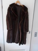 Saga Mink bruine nerts jas, Bruin, Maat 46/48 (XL) of groter, Ophalen of Verzenden, Onbekend