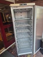 Professionele Vrieskast - Horeca, Ophalen, Gebruikt, Koelen en Vriezen