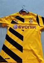 Dortmund shirt l, Maat XL, Ophalen of Verzenden, Zo goed als nieuw, Shirt