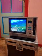 Panasonic AG-500 VHS CRT vintage Videospeler combi, Audio, Tv en Foto, Ophalen, Gebruikt, Minder dan 40 cm, Panasonic