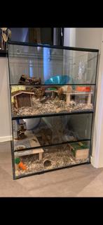 Dubbel terrarium voor hamsters, Dieren en Toebehoren, 90 cm of meer, Minder dan 75 cm, Gebruikt, Hok